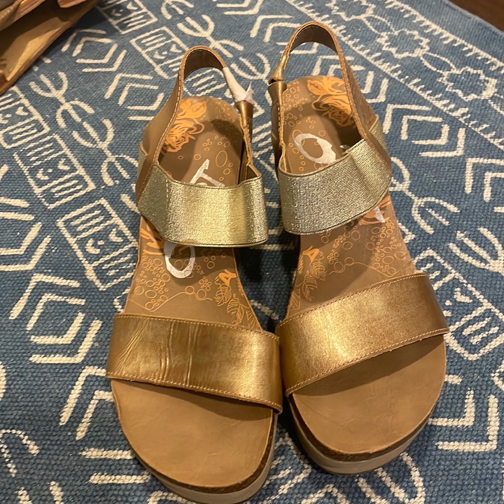 Otbt wedge
